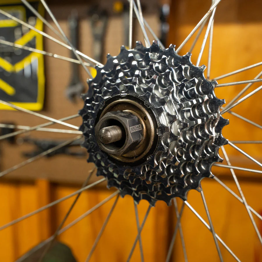 Pedros Freewheel Socket 12 Spline x 23mm - Image 2